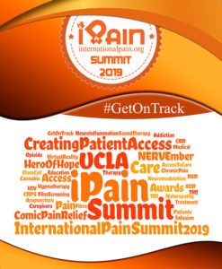 ipain summit program cover 100 ipain summit program cover 100