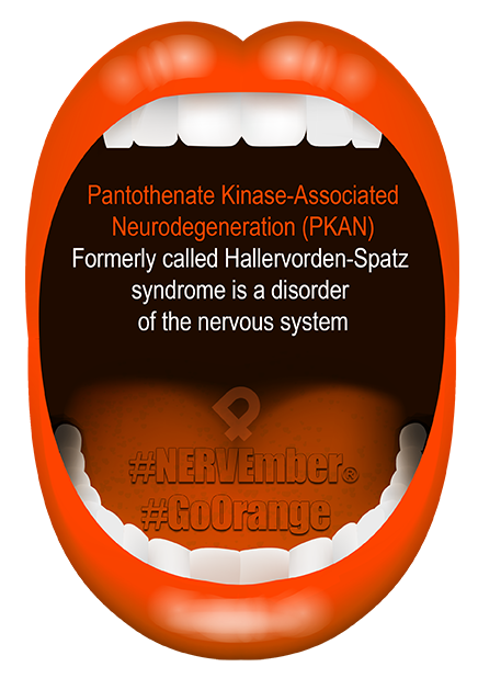Pantothenate Kinase-Associated Neurodegeneration (PKAN) NERVEmber GoOrange iPain Pantothenate Kinase-Associated Neurodegeneration (PKAN) NERVEmber GoOrange iPain